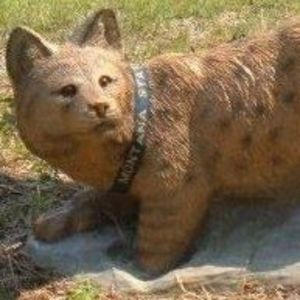 Meet your Posher, Darin